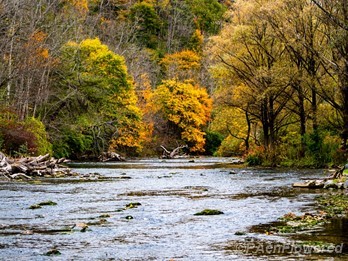 Autumn at Spring creek