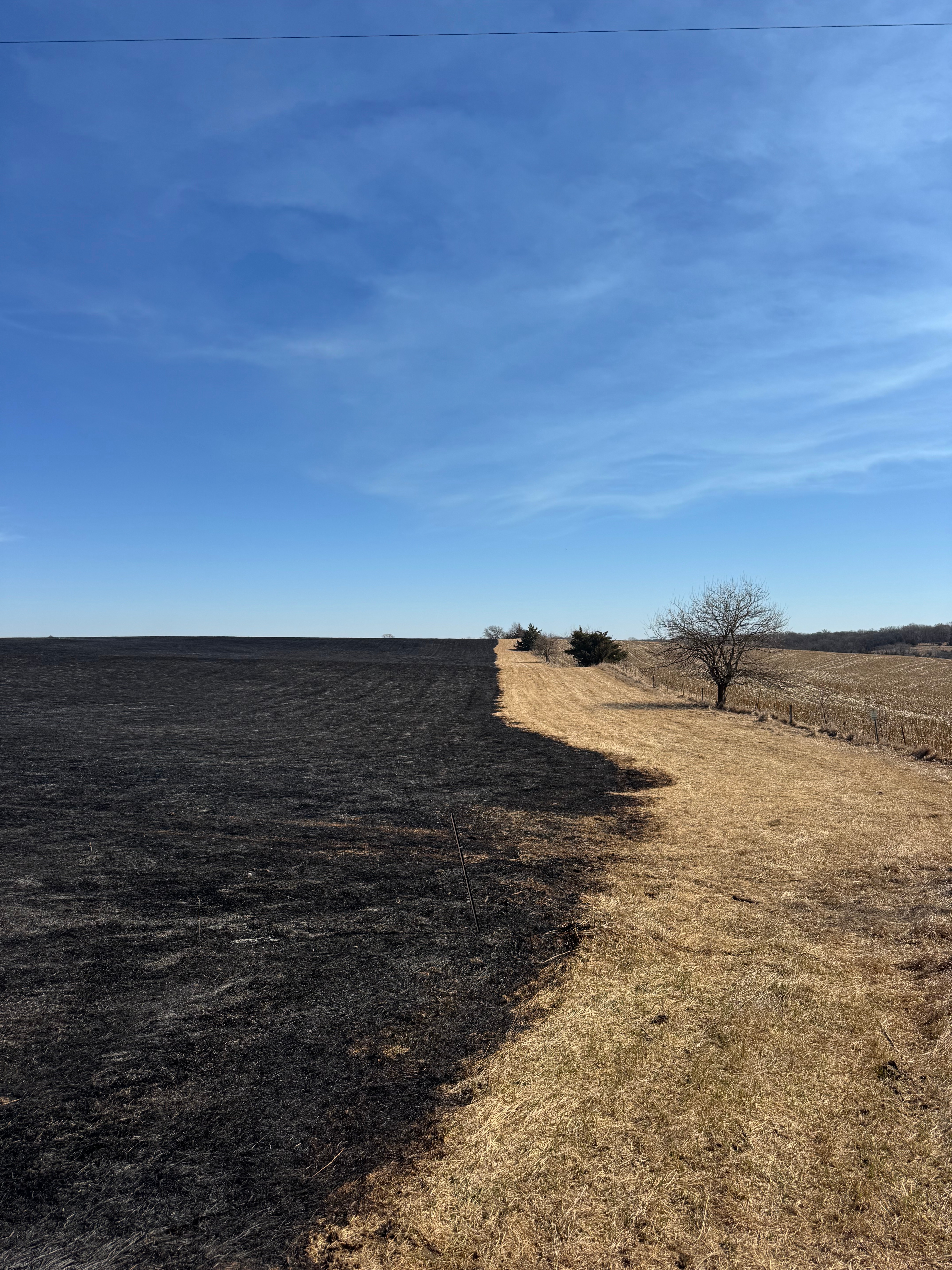 Land Burn